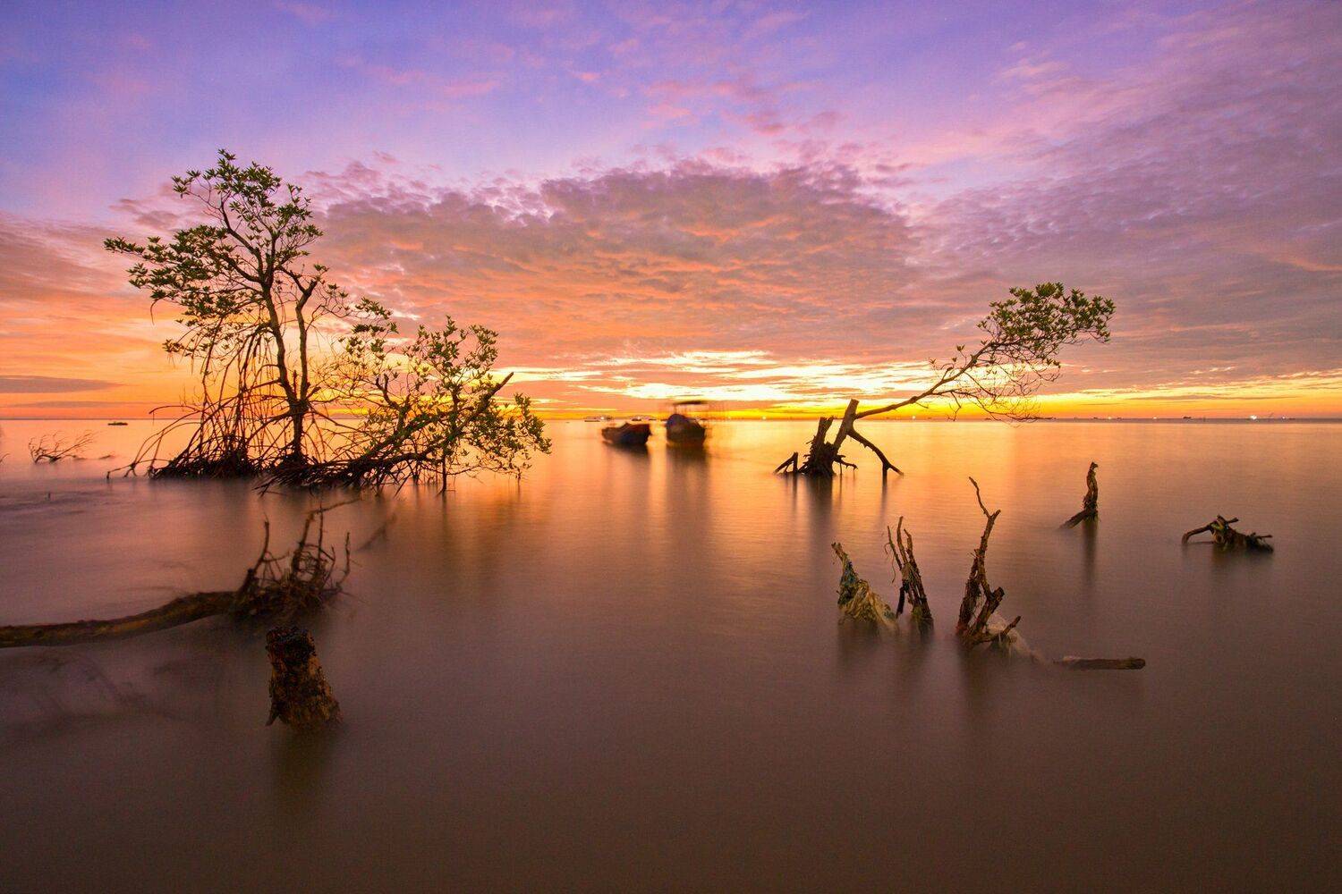 , vannguyenhop29@gmail.com