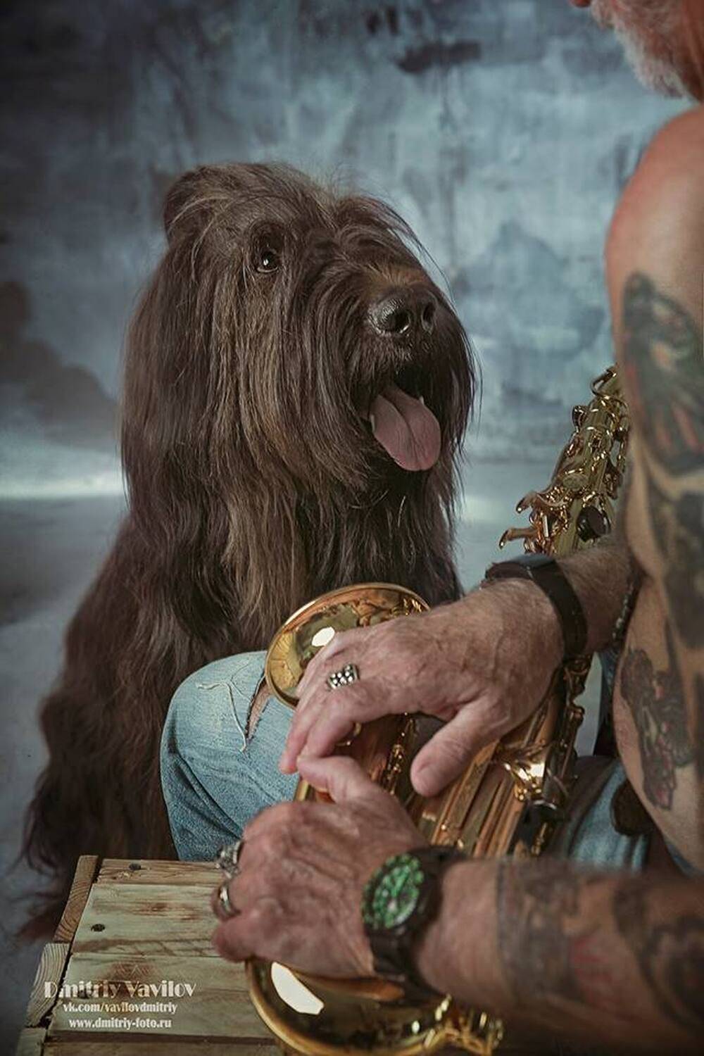 портрет, art_vavilov, Дмитрий Вавилов