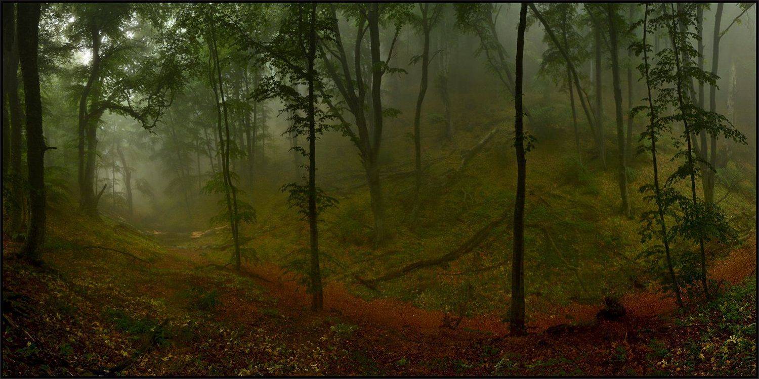 , Владимир Метцгер