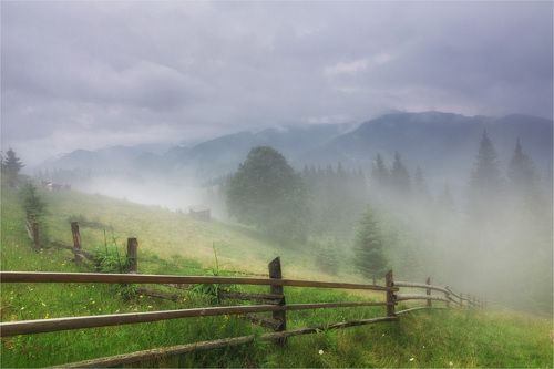 Mountain field