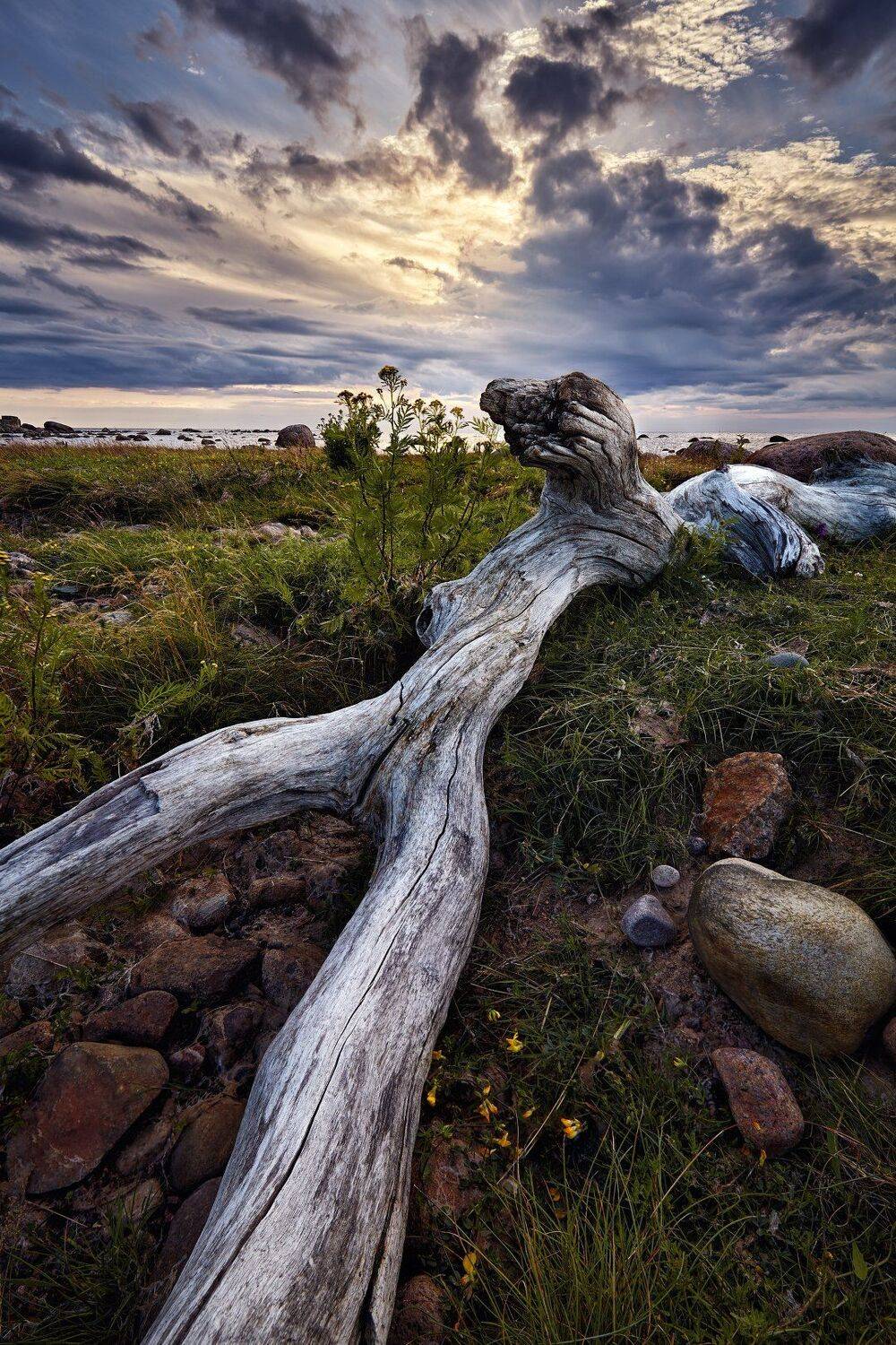 финский залив, пейзаж, небо, KrubeK
