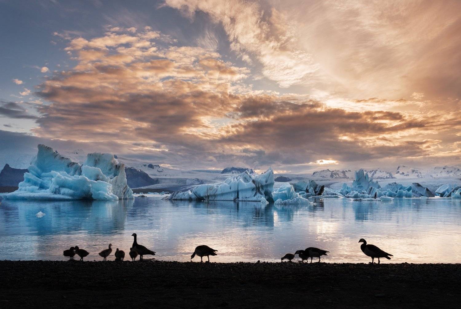 , Андрей Родионов