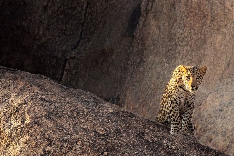 Samiul Kabir Photography фото превью