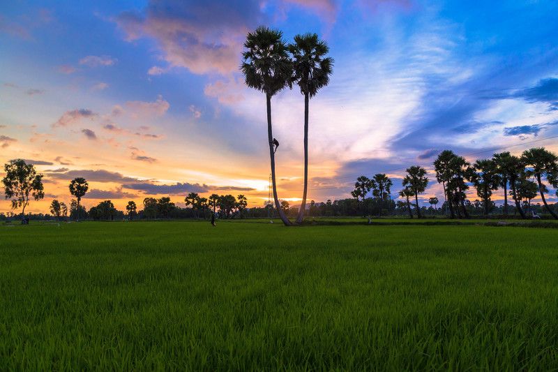 Hoang Hon, Tinh Bien Bien, An Giang, Vietnam фото превью