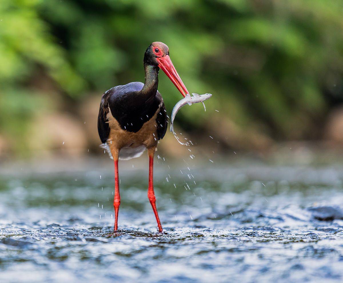 , Sławek Przybylski