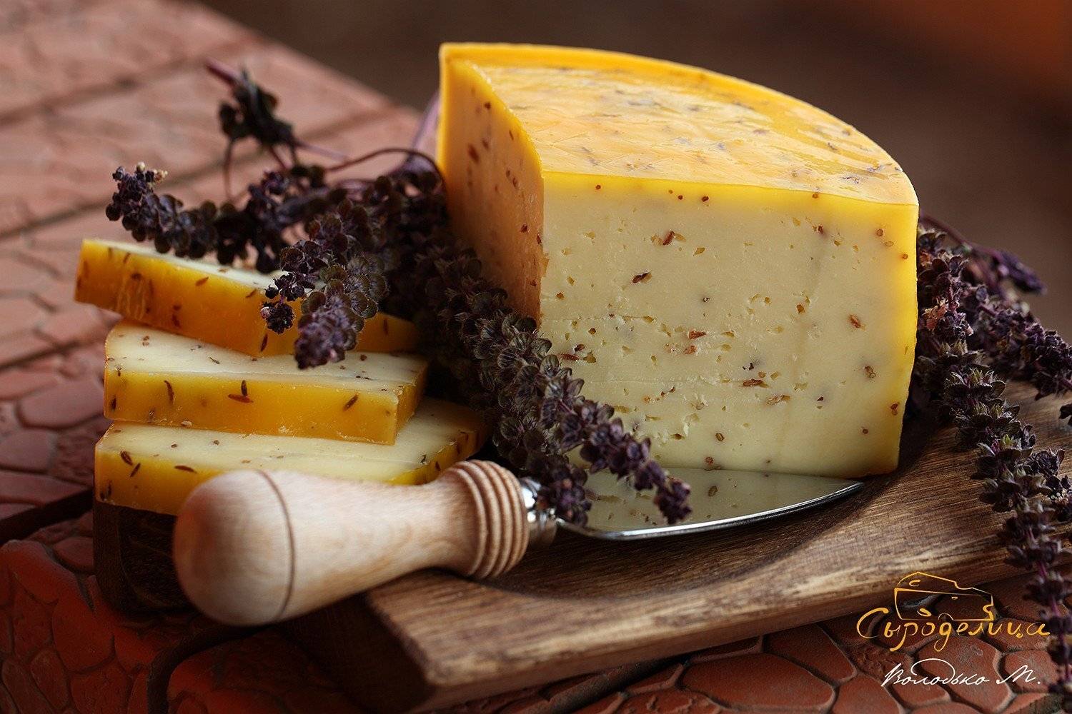 сыр, Марина Володько