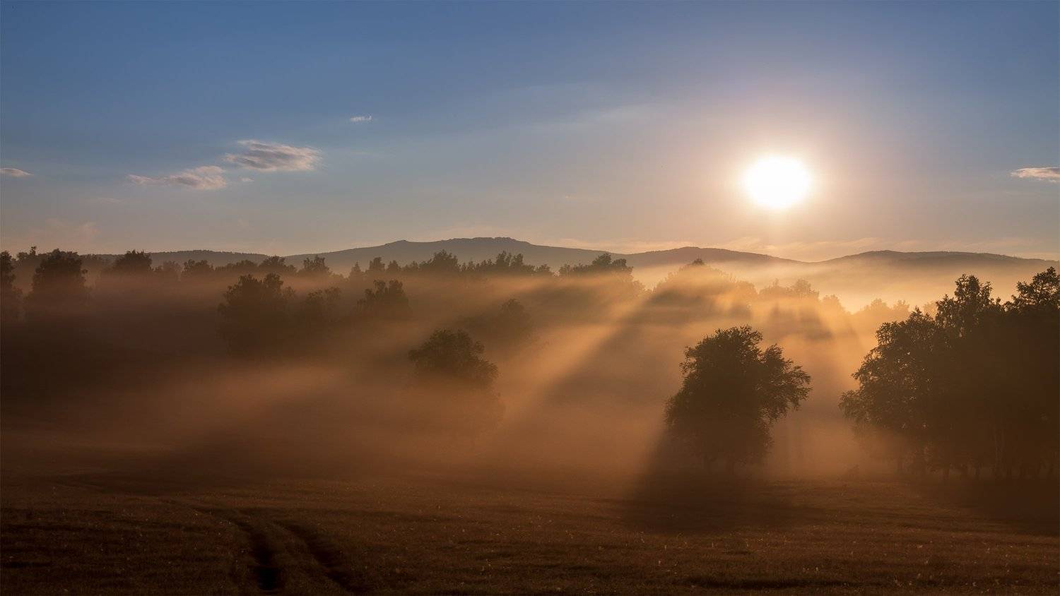 утро, рассвет, восход, туман, лучи, Леонид Максименко