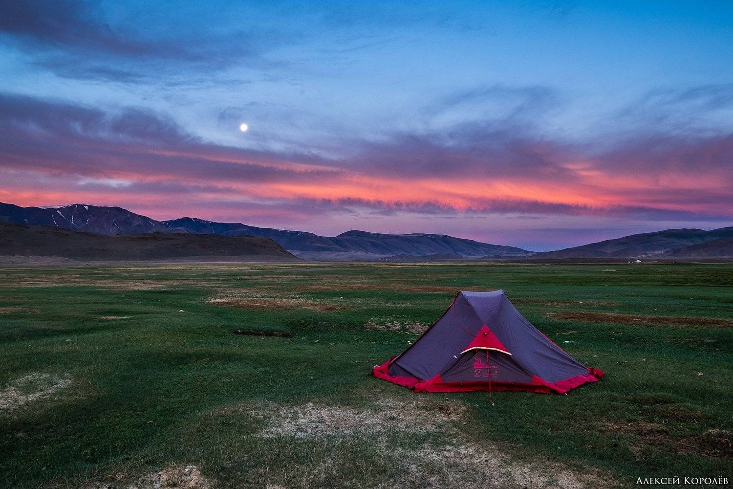 монголия, горы, алтай, рассвет, палатка, луна, природа, пейзаж, лето, mongolia, mountains, altai, dawn, tent, moon, nature, landscape, summer, Алексей Королёв