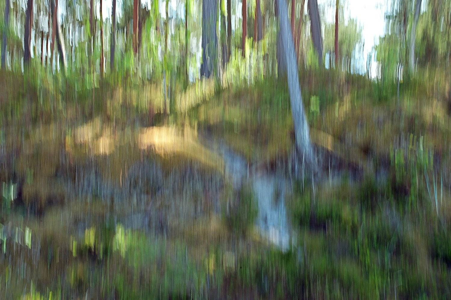 естественное фото, хорошая фотография; nature photo, good photo, studio photo, Juris Zēbergs