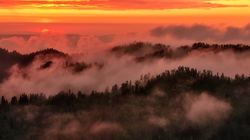Варенье из заката