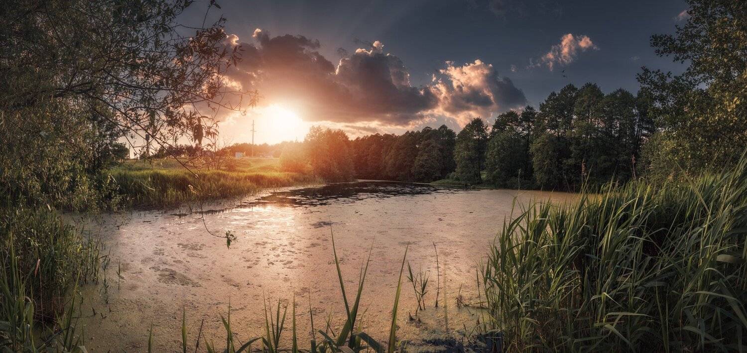 панорама, лето, закат,, Андрей Кровлин