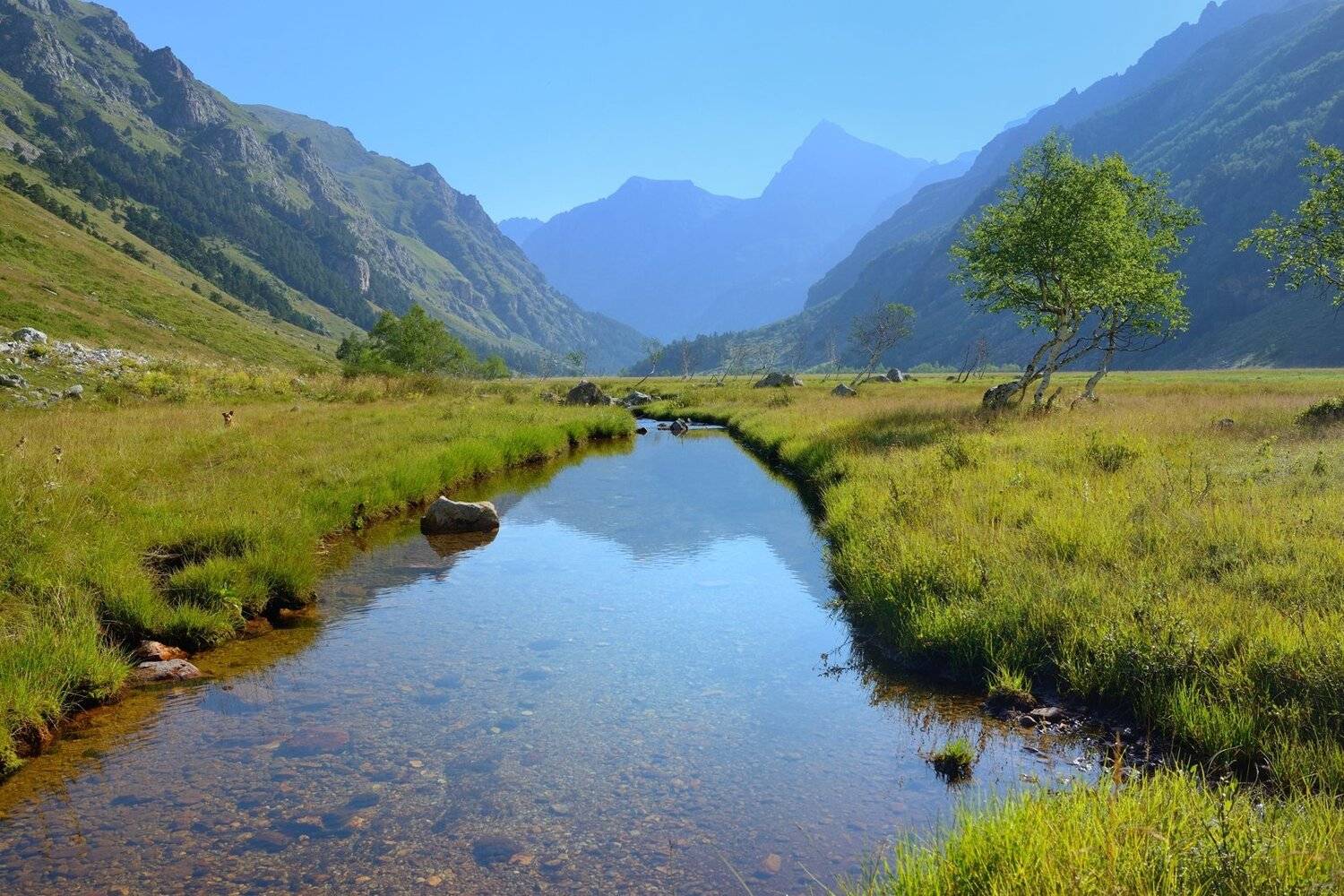 горы лето ручей мырды, Александр Жарников