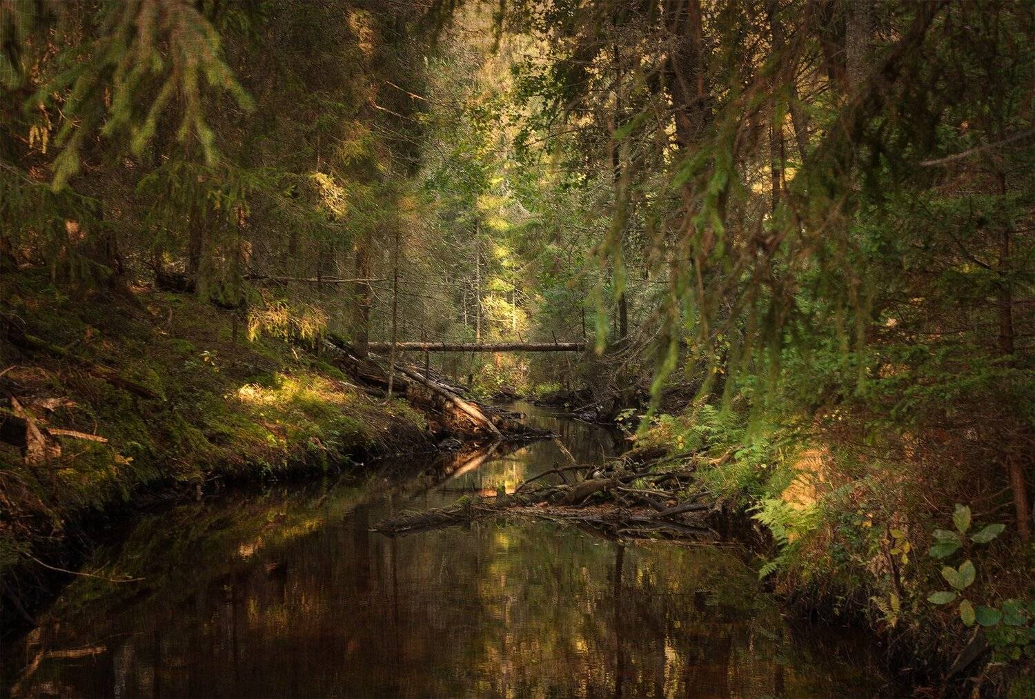 , Алексей Герасимов