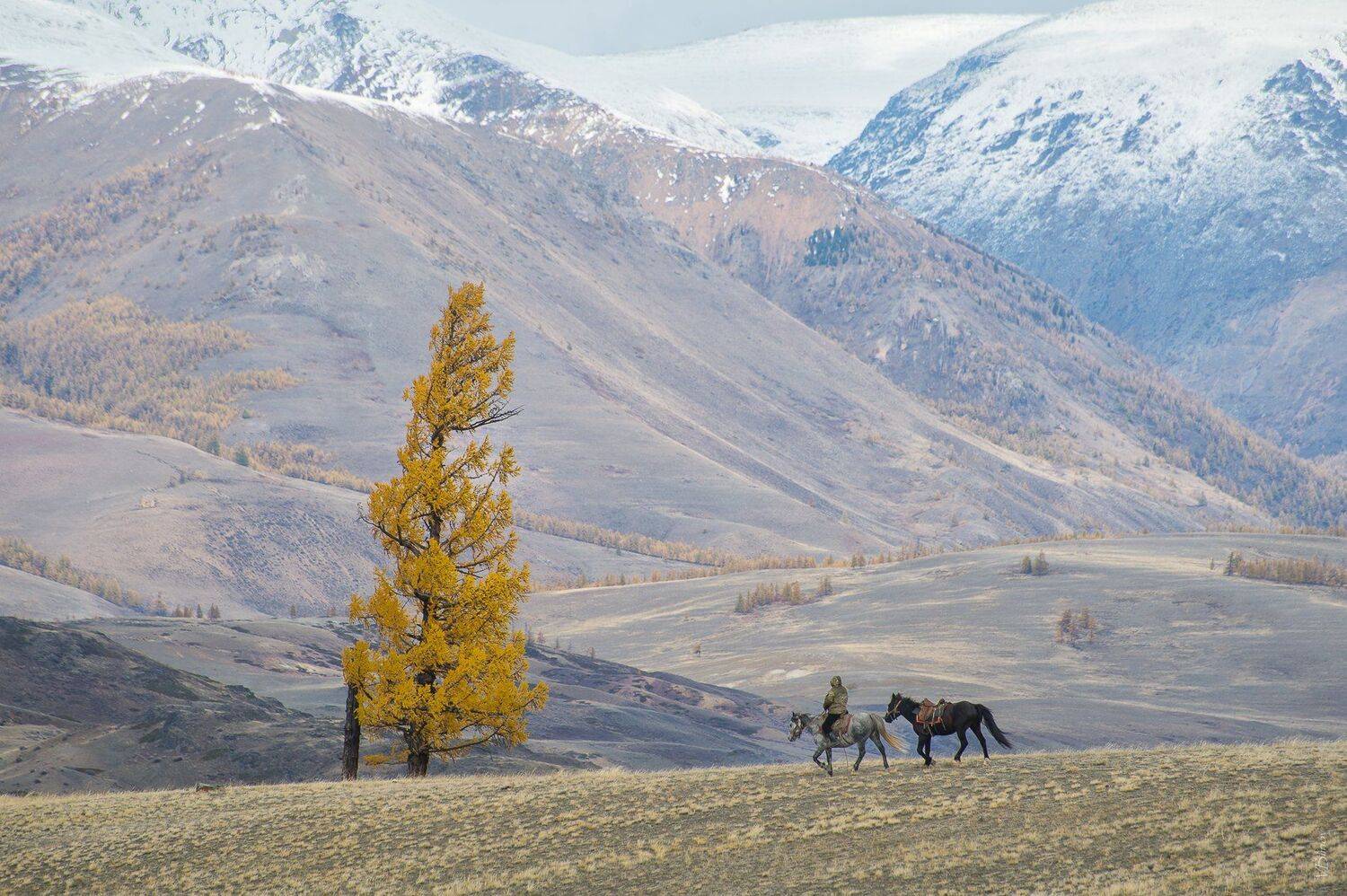 , Блинов Василий