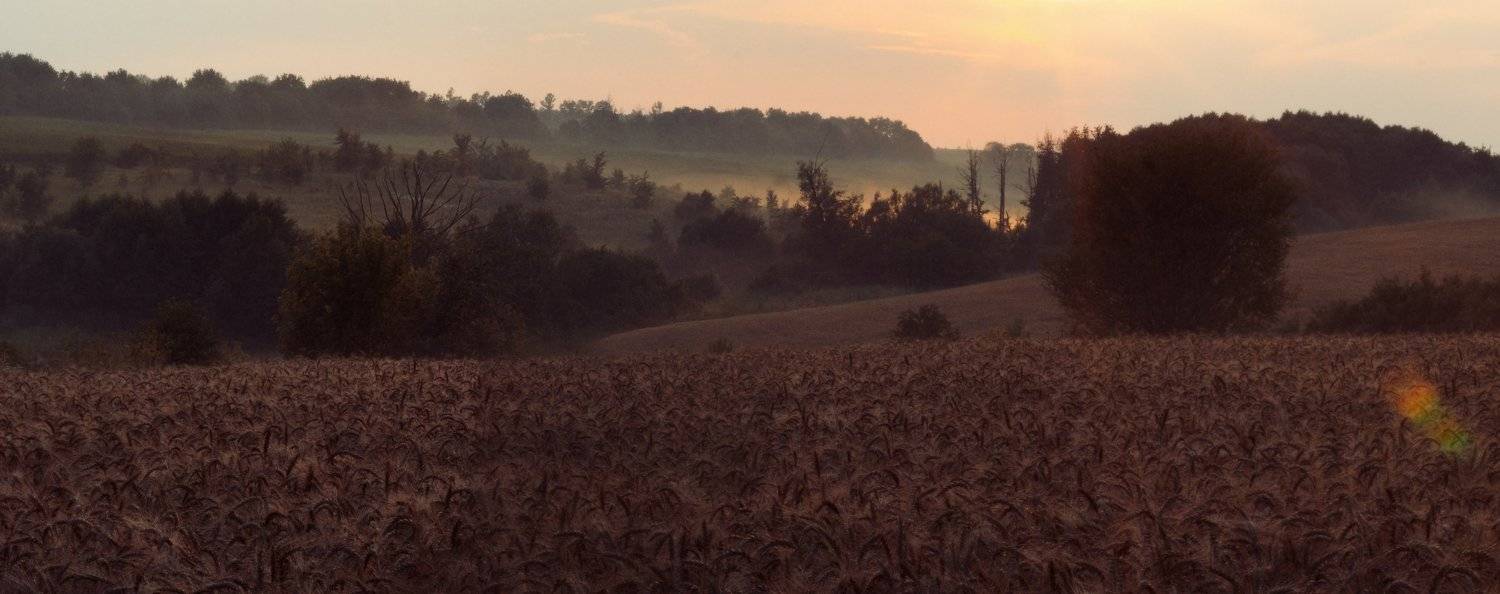 , Виталий Кононов