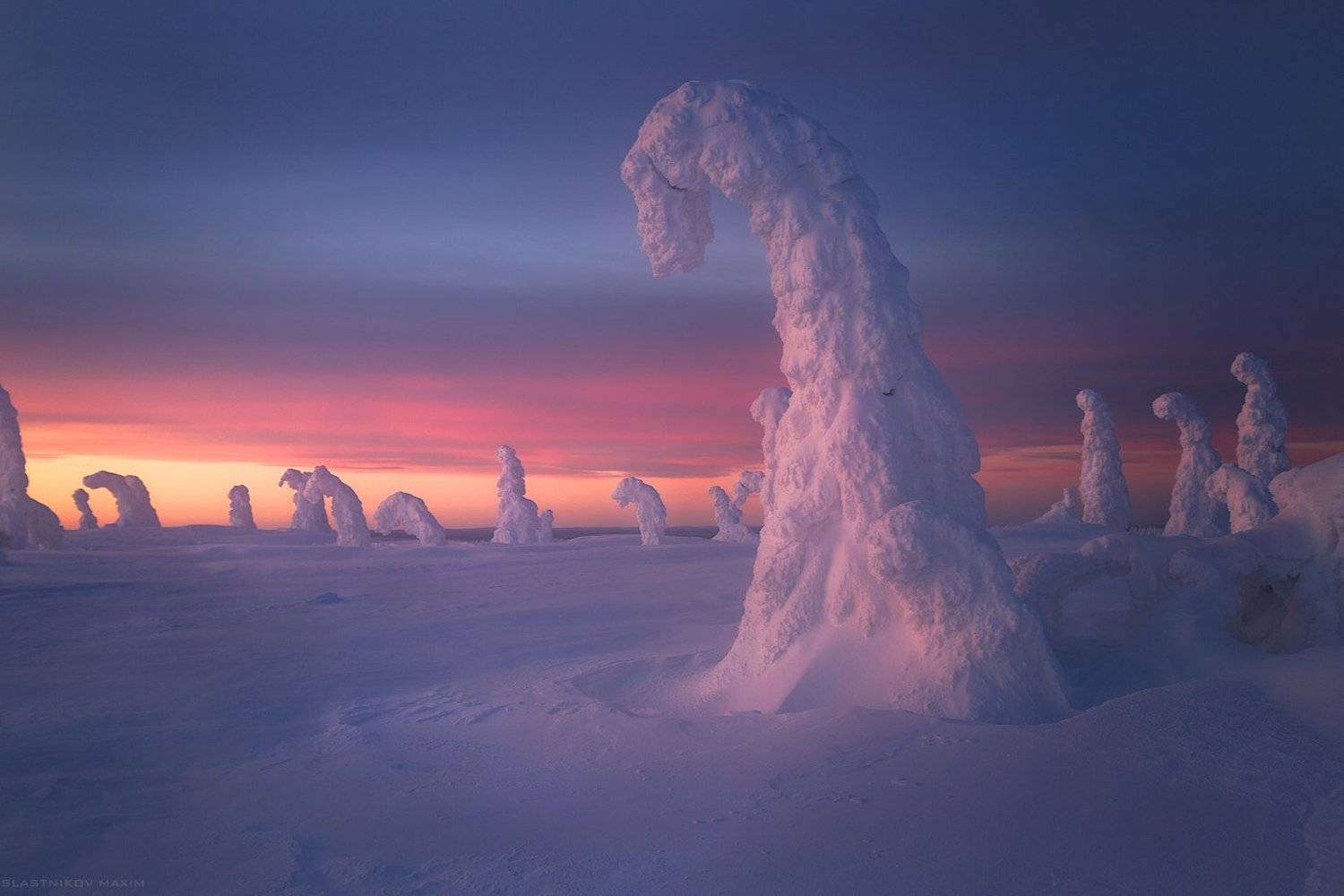 finland, lapland, snow, clouds, sunset, park, travel ,explore, night, Максим Сластников