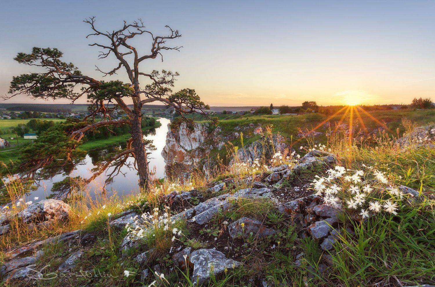 Слобода, Чусовая, Урал, Средний Урал, закат, восход, лучи, солнце, дерево, цветы, пейзаж, Сергей Гарифуллин