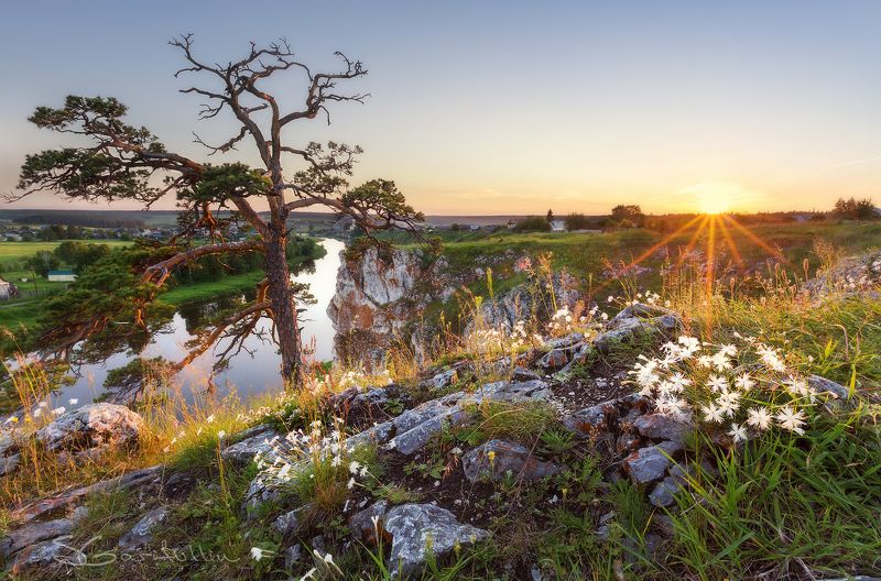 Слобода, Чусовая, Урал, Средний Урал, закат, восход, лучи, солнце, дерево, цветы, пейзаж Слобода фото превью