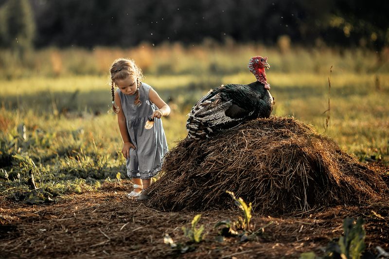 фото превью