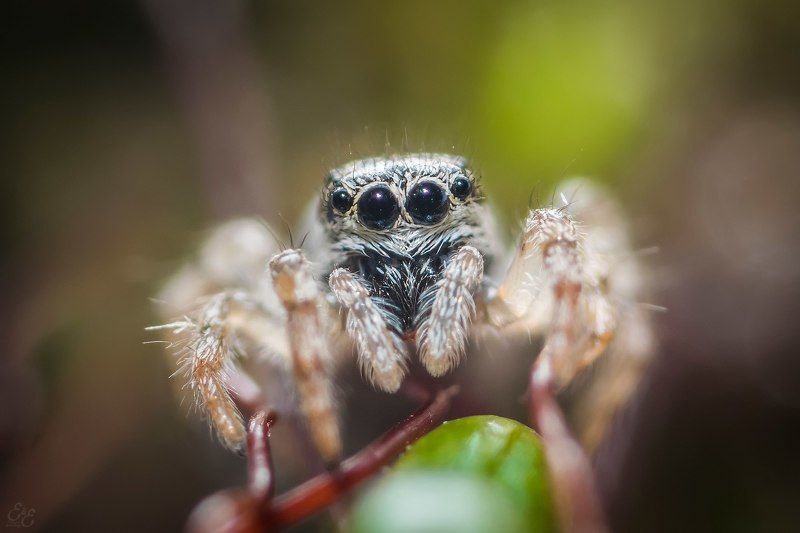 блондин фото превью