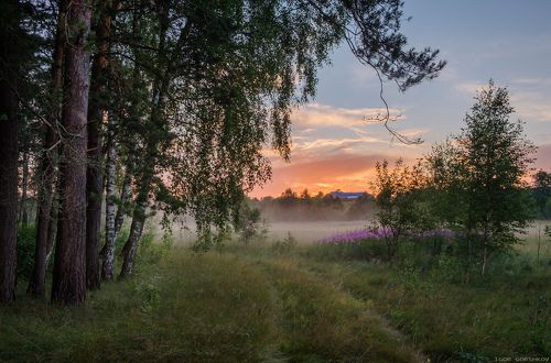 Летний вечер дождливого дня