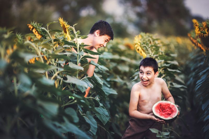 Дети, подсолнух, арбуз, радость , смех, детская фотосессия,лето,счастливый момент Счастливое детство фото превью