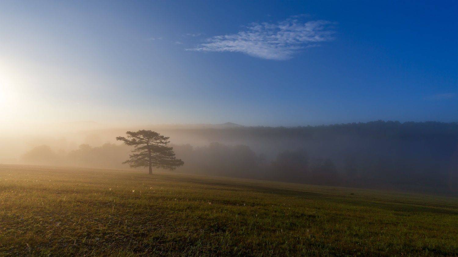 утро, рассвет, восход, туман, лучи, Леонид Максименко