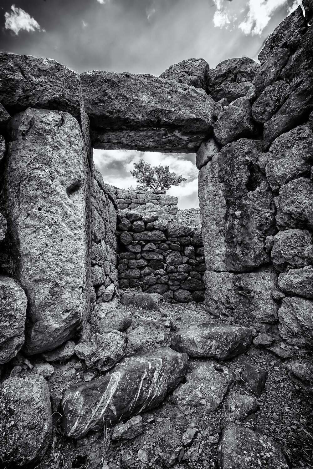 , Бистра Стоименова