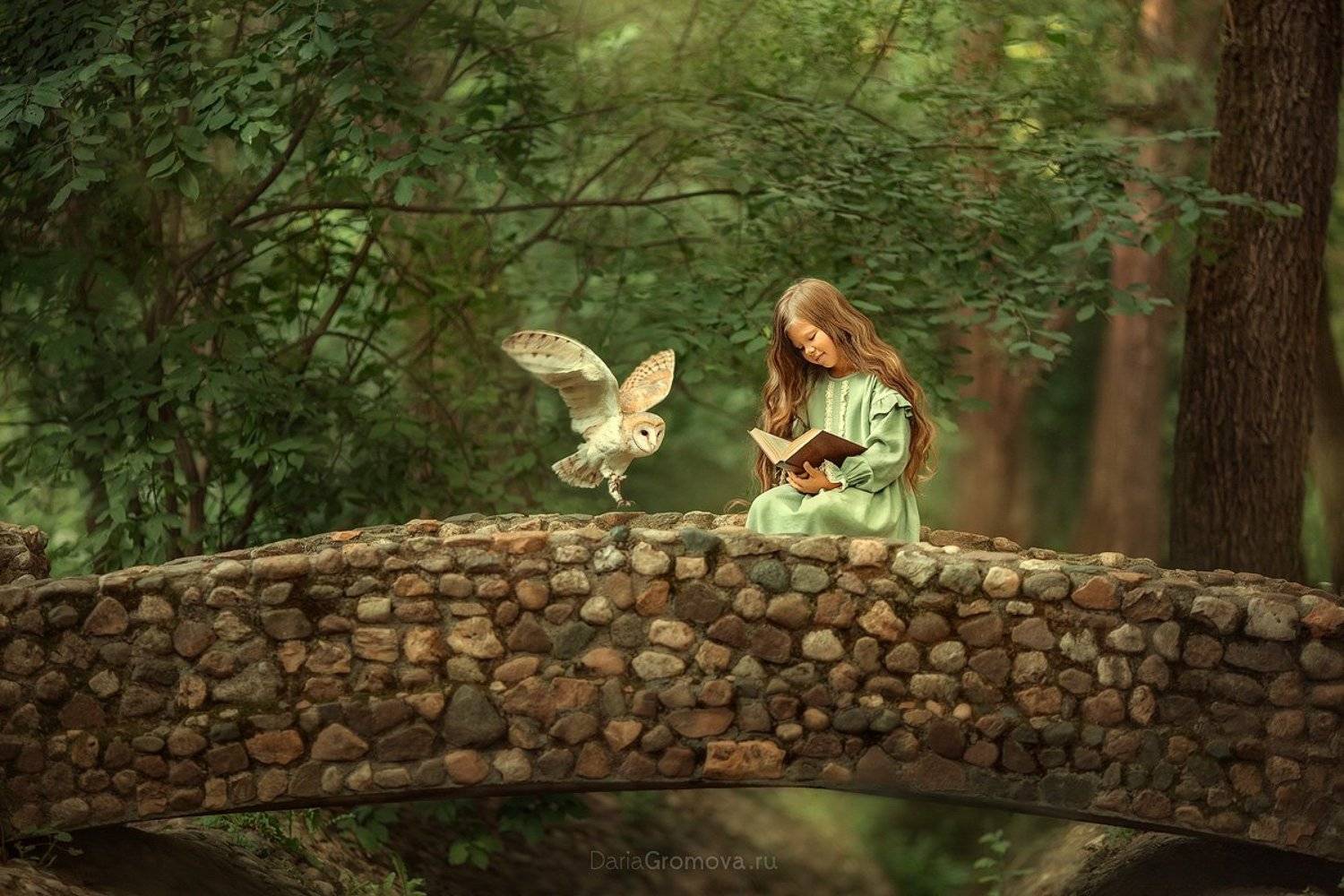 боке, натюрморт, дарья громова, фотография, фото, фотоарт, фотограф, закат, портрет, детский портрет, дети, ребенок, сова, лето, парк, Дарья Громова