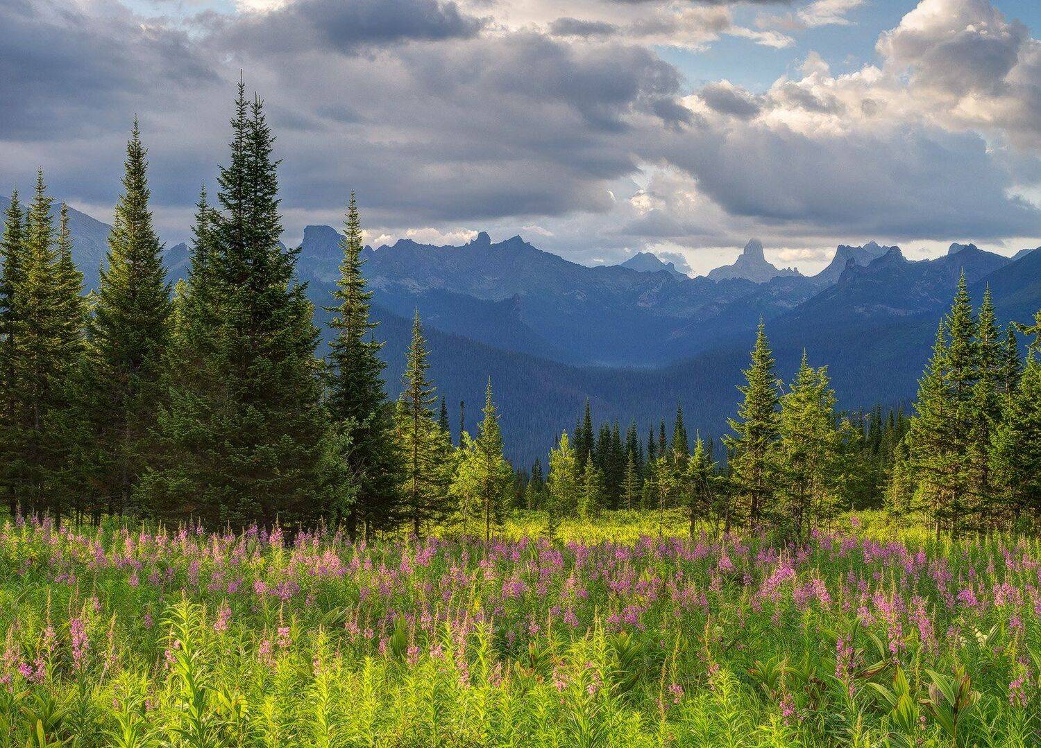 , Лещёнок Александр