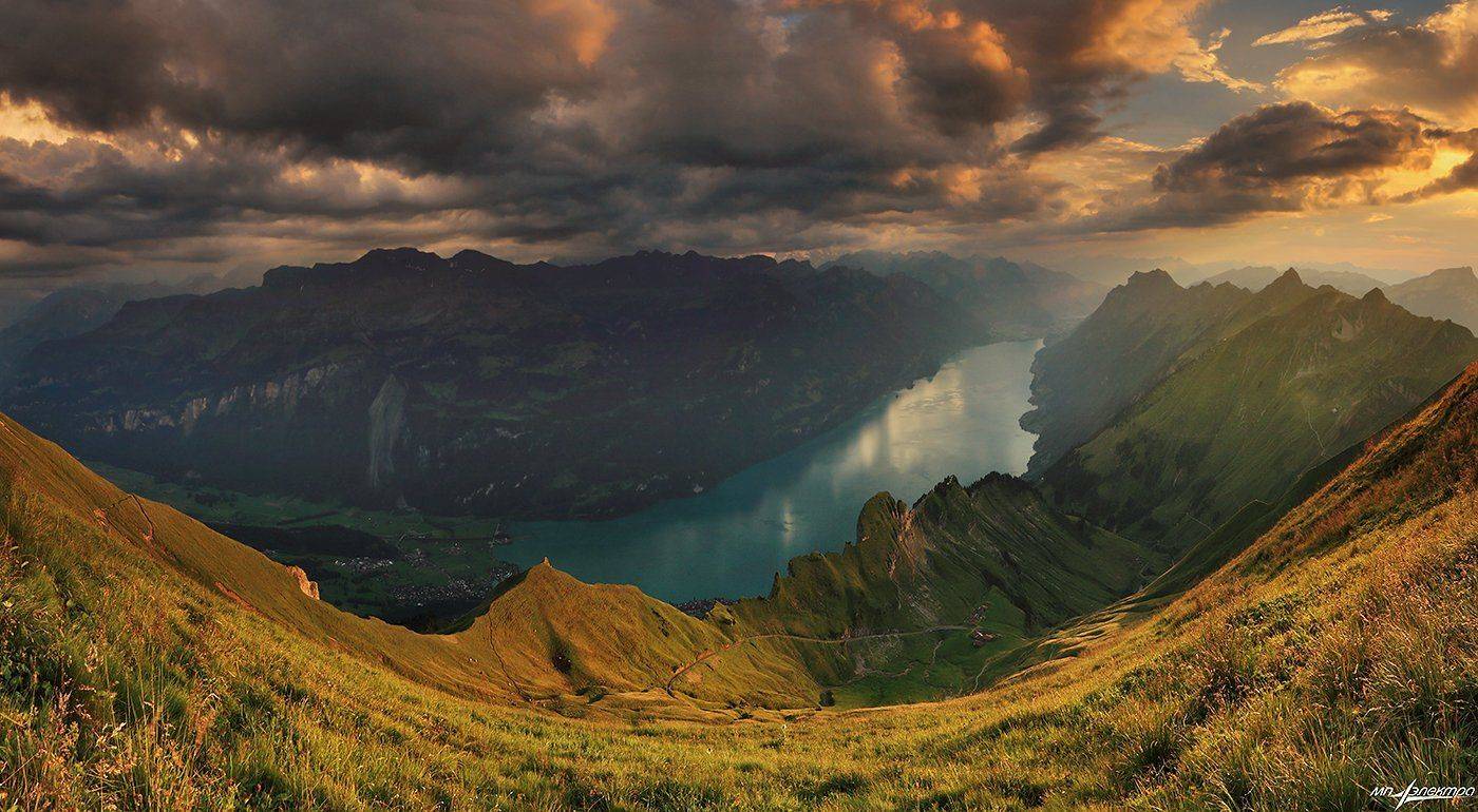 swiss, Матвеев Николай