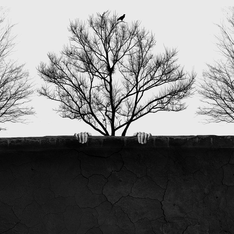 #35photo #surrealart#photoshop#ps_fantasy#art_minimal #bnw_dream #photography#minimalism#conceptual#fineart #instagram#ps_dreams#bnwminimalismmag#art_digital # free_association#harfeaks#ir_photographer#ir_aks#instapersia #minimal#canon#blackandwhite#bnw#s Wall фото превью