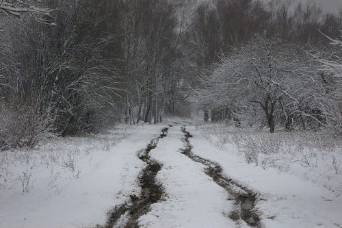 По первому снегу