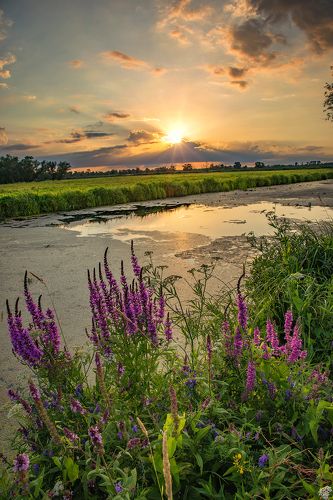 Sunset on the Odra river