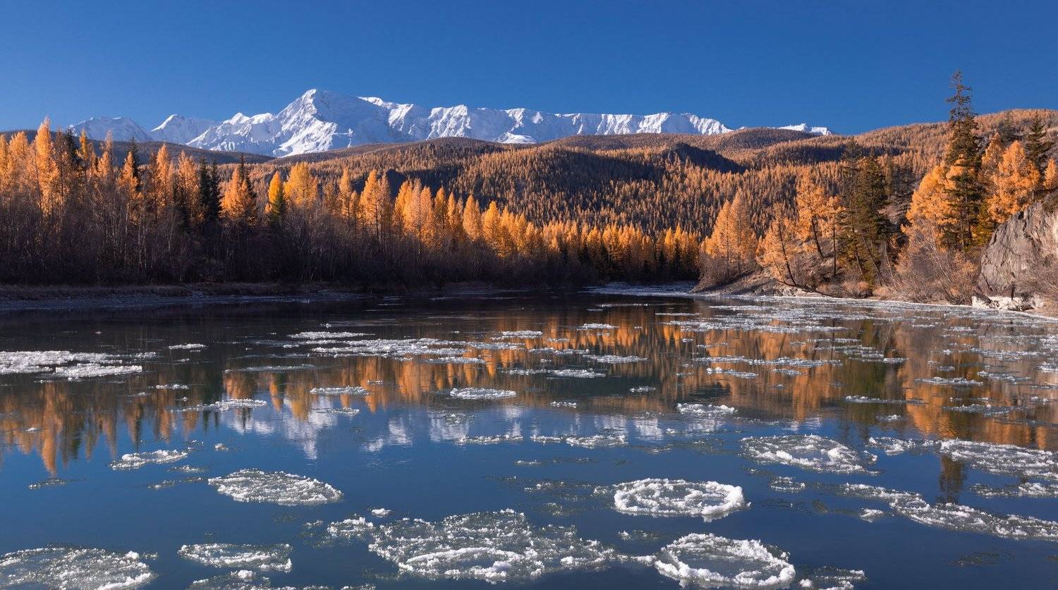 горный алтай, чуя, октябрь, осень, шуга, лиственницы, горы, Виктор Зайцев