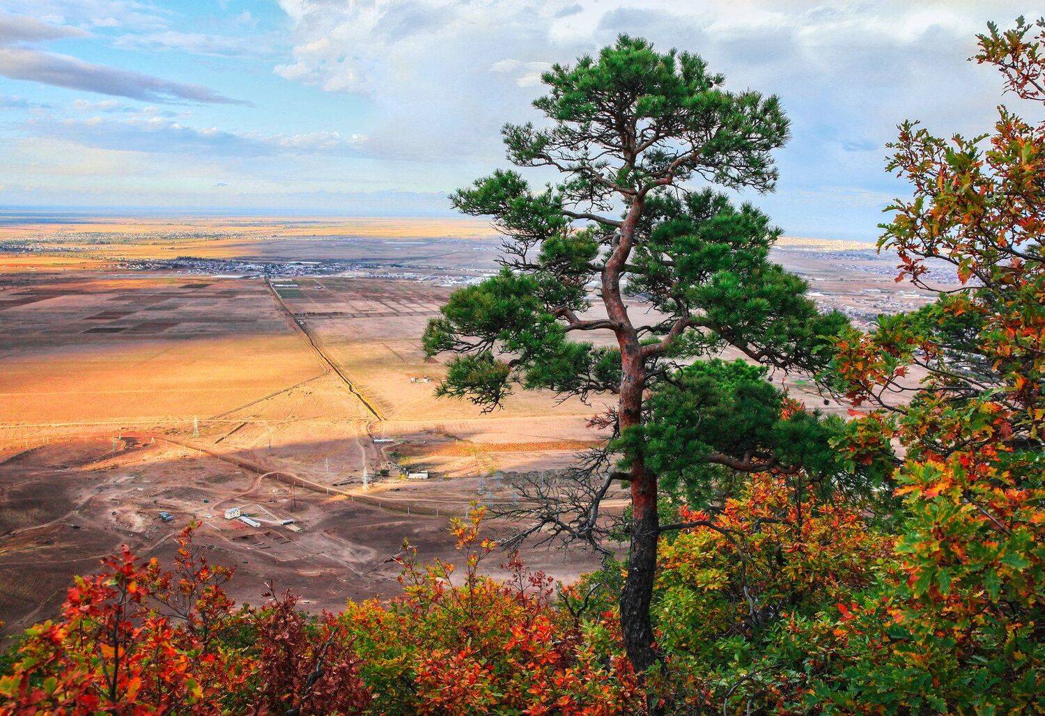 осень,горы,природа,дерево,сосна, Marat Magov