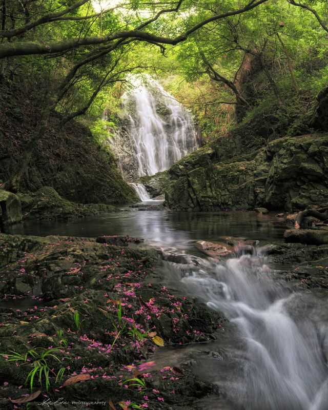 The Tiger Creek фото превью