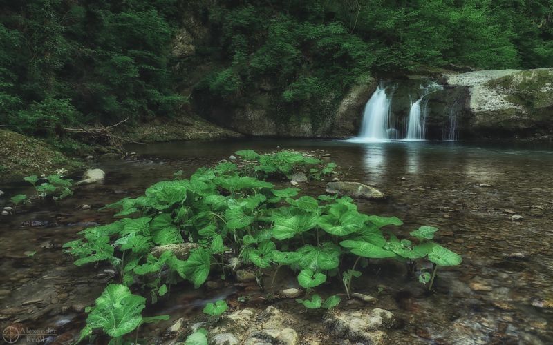 Утро у водопада... фото превью
