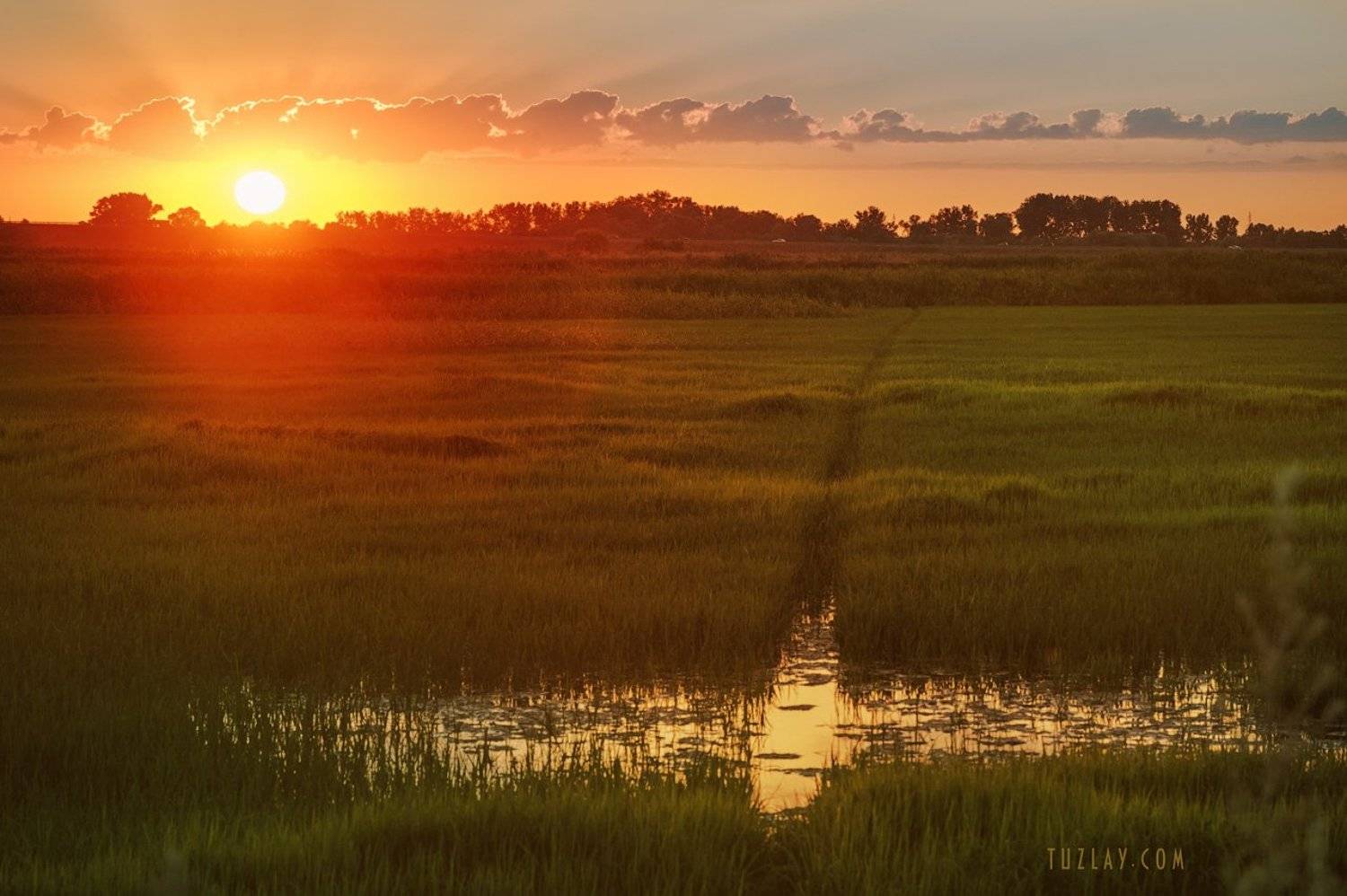 , Владимир Тузлай