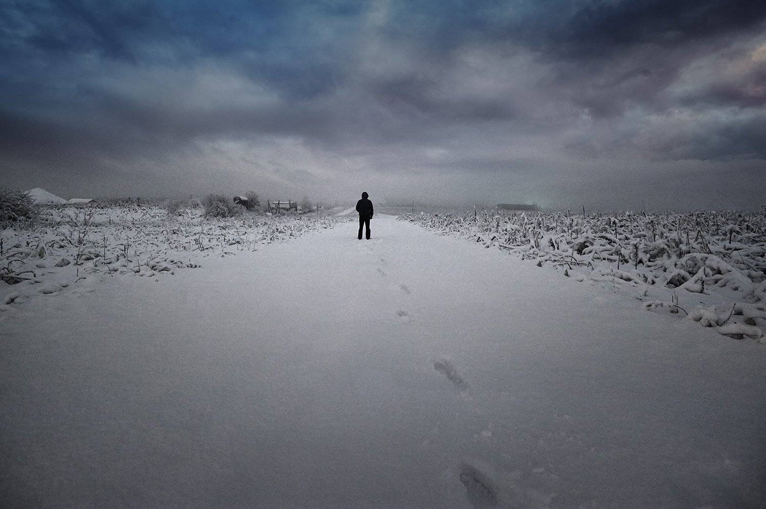 , Каревский Дмитрий