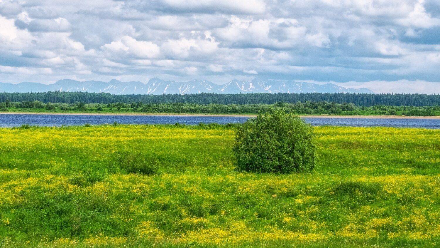 , Игорь Подобаев
