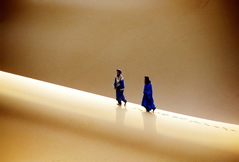 Companion фото превью