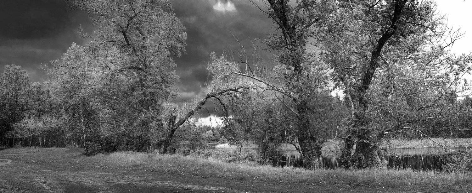 , Бусыгин Борис