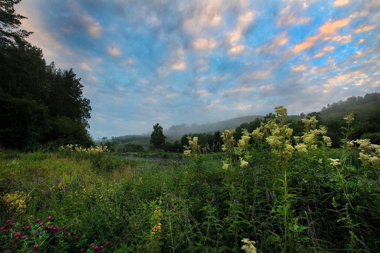 , Орлов Михаил