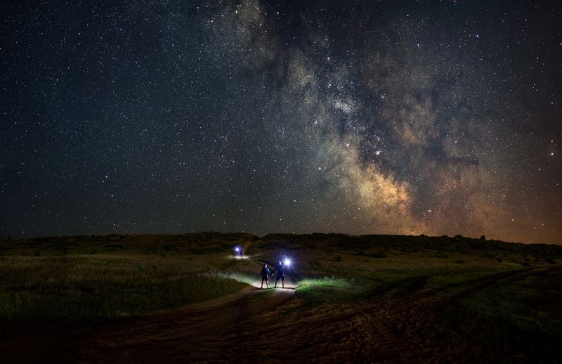 ceclii, nikon d3400  фото превью