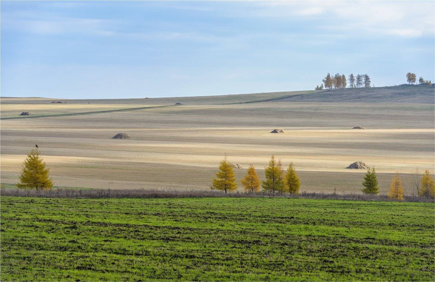 , Кутыгин Эдуард