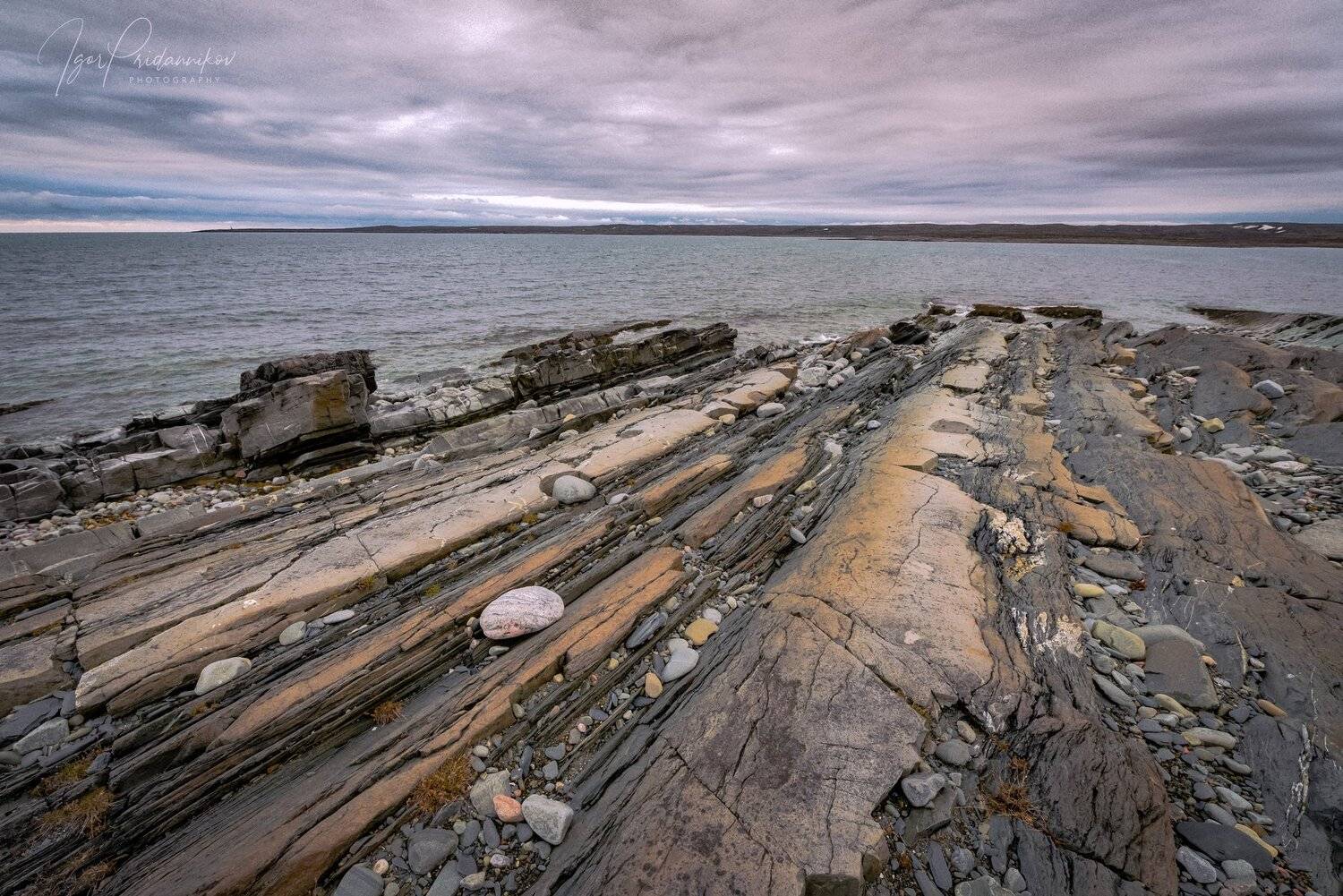 , Игорь Приданников