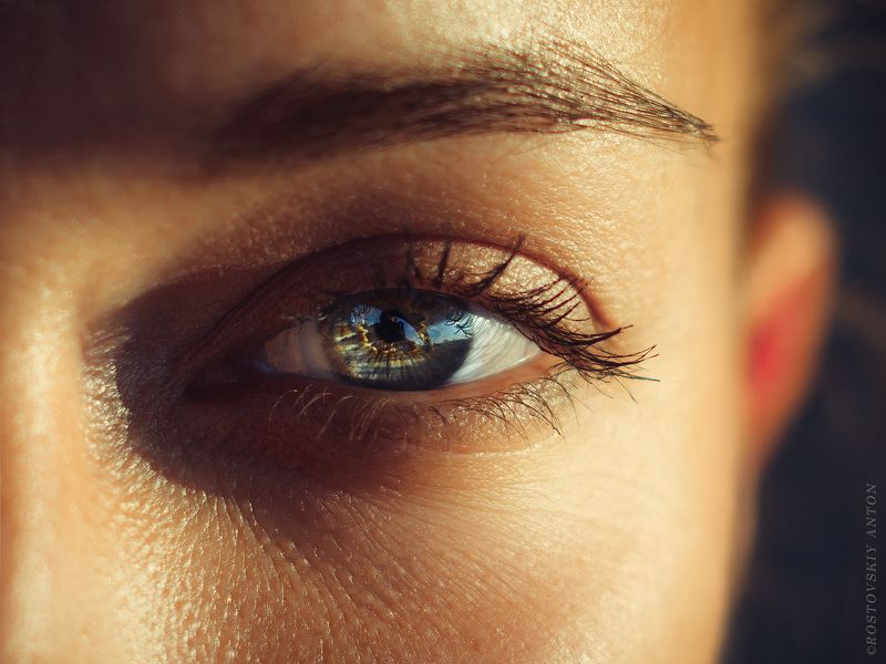 глаз, андреева, наталья, немчинова Самая красивая болельщица ЧМ крупным планом) фото превью