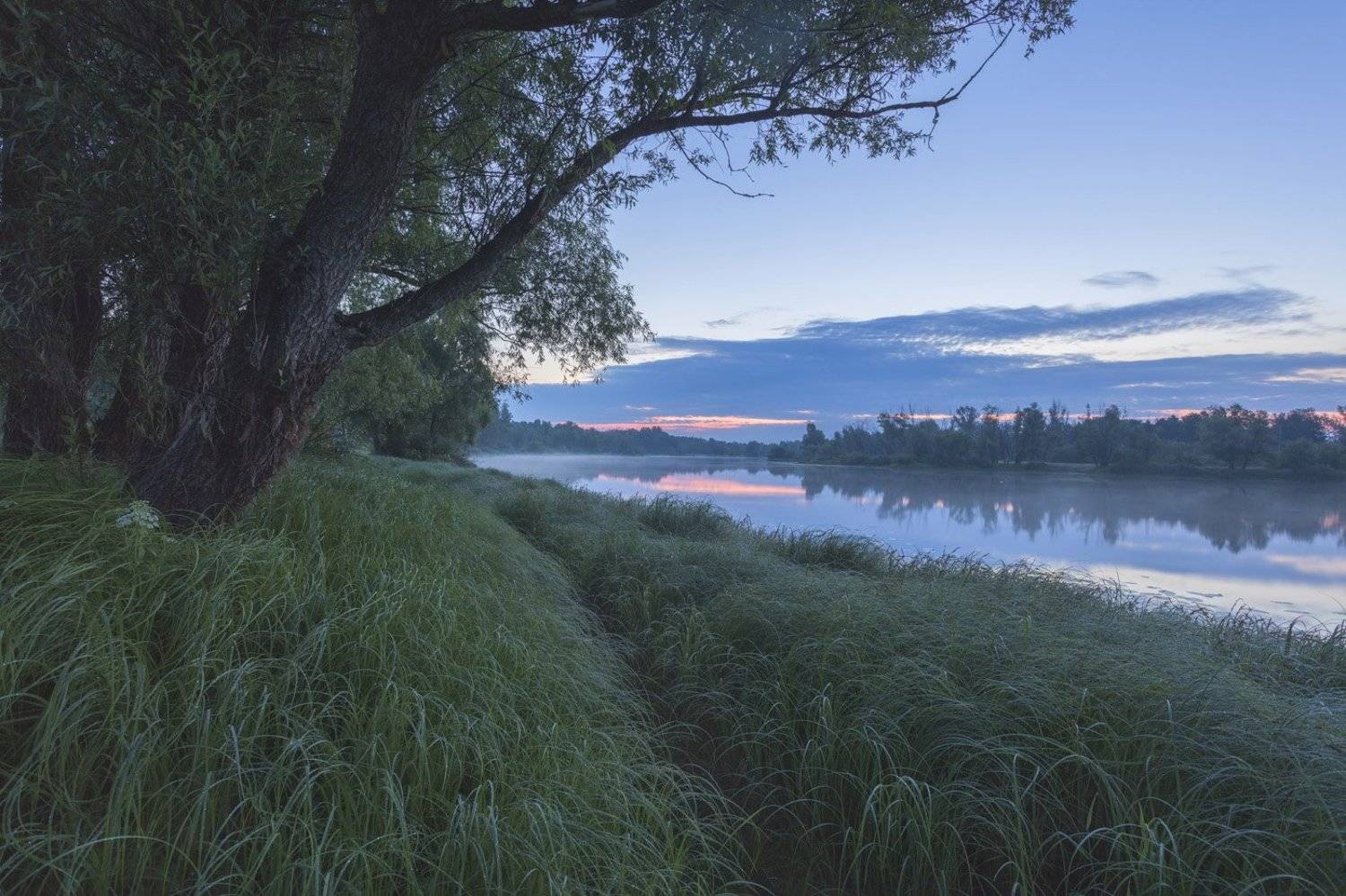 , Артём Маковский