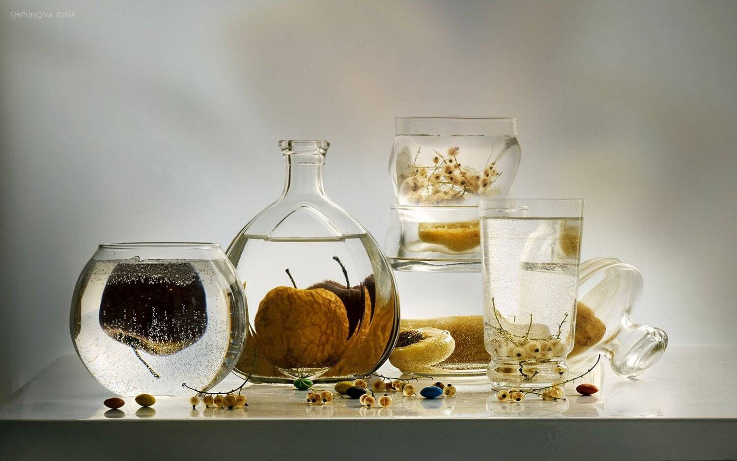 , Шипунова Ирина